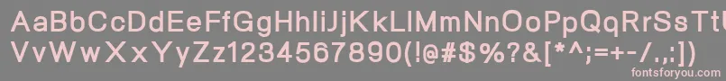 NeogramExtrabold Font – Pink Fonts on Gray Background