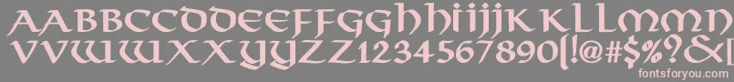 Weitere Informationen zur VikingNormalBold-Schriftart VikingNormalBold-Schriftart – Rosa Schriften auf grauem Hintergrund