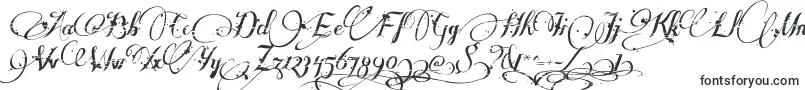 Шрифт Manyweatz – шрифты с вензелями (монограмма)