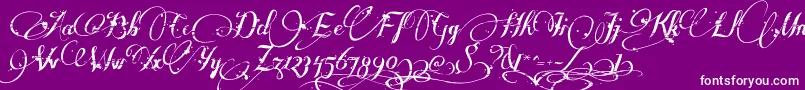 Manyweatz Font – White Fonts on Purple Background