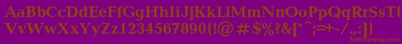 BalticacBold Font – Brown Fonts on Purple Background