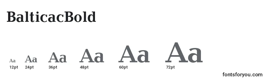 BalticacBold Font Sizes