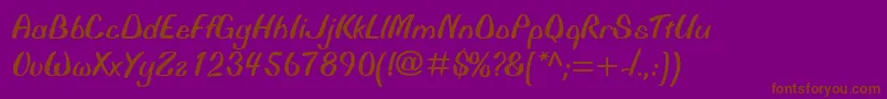 BonitaRegular Font – Brown Fonts on Purple Background