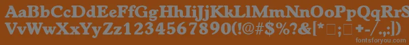 CupolaDisplaySsi Font – Gray Fonts on Brown Background