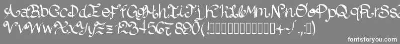 フォントLazydog – 灰色の背景に白い文字