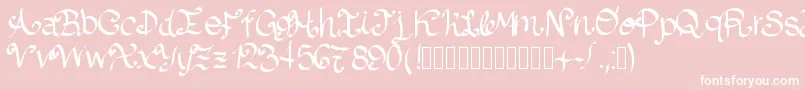 Lazydog Font – White Fonts on Pink Background