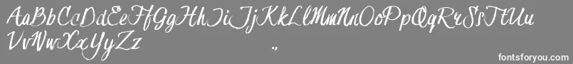 HessterMoffettTrial Font – White Fonts on Gray Background