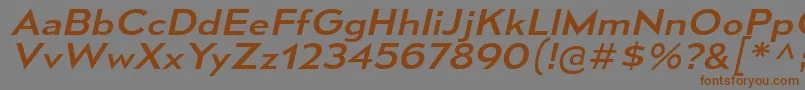 MesmerizeExRgIt Font – Brown Fonts on Gray Background