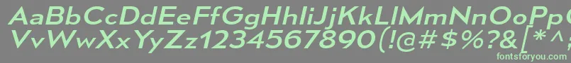 MesmerizeExRgIt Font – Green Fonts on Gray Background
