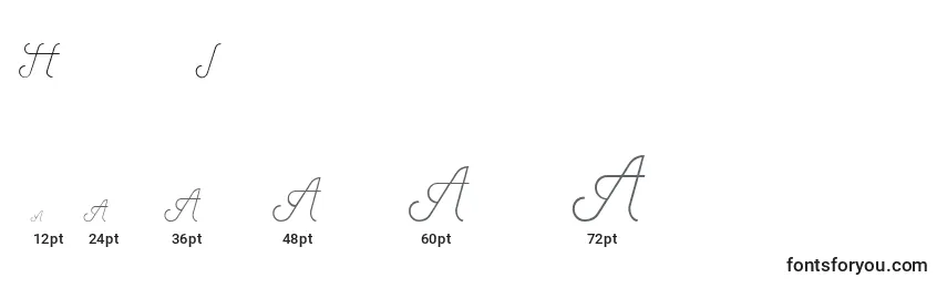 HenryItalic Font Sizes