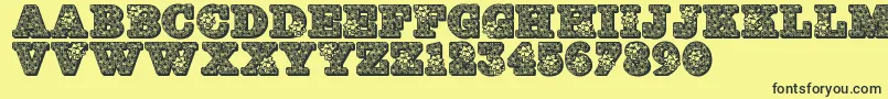Jfholbow Font – Black Fonts on Yellow Background