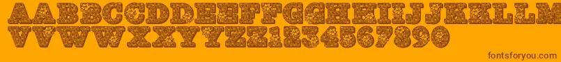 Jfholbow Font – Brown Fonts on Orange Background
