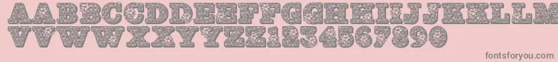 Jfholbow Font – Gray Fonts on Pink Background