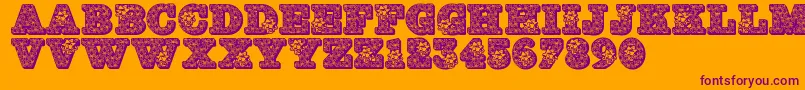 Jfholbow Font – Purple Fonts on Orange Background