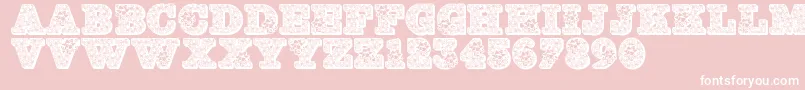 Jfholbow Font – White Fonts on Pink Background