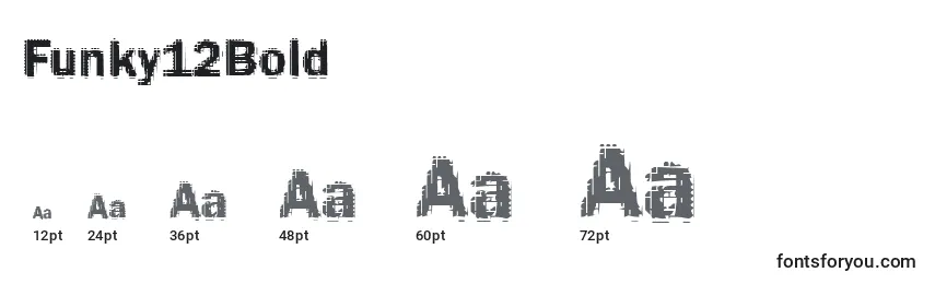 Funky12Bold Font Sizes