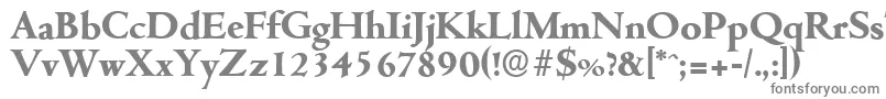 CambridgeserialXboldRegular Font – Gray Fonts