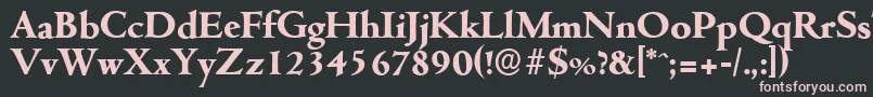 CambridgeserialXboldRegular Font – Pink Fonts on Black Background