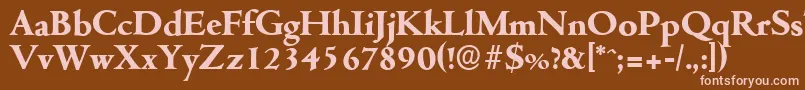 CambridgeserialXboldRegular Font – Pink Fonts on Brown Background
