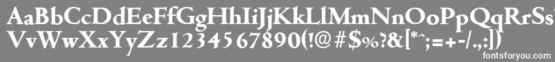 CambridgeserialXboldRegular Font – White Fonts on Gray Background