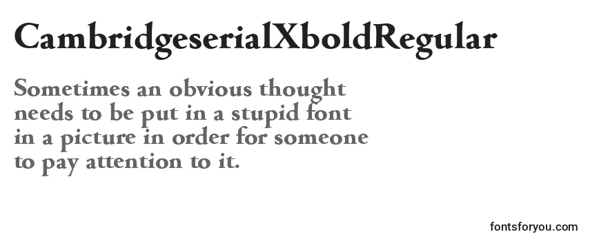 Review of the CambridgeserialXboldRegular Font