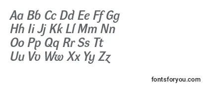 DynagroteskdItalic Font