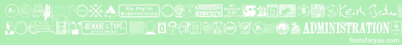 Mailg Font – White Fonts on Green Background