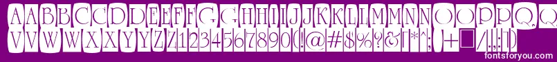 ARomanusttlcmd2cb Font – White Fonts on Purple Background