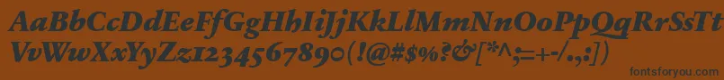 SabonnextLtBlackItalicOldStyleFigures Font – Black Fonts on Brown Background