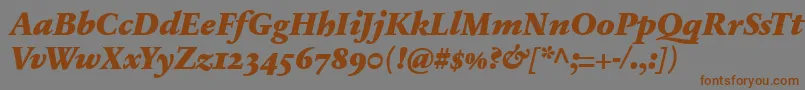 SabonnextLtBlackItalicOldStyleFigures Font – Brown Fonts on Gray Background