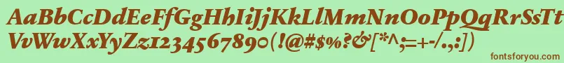 SabonnextLtBlackItalicOldStyleFigures Font – Brown Fonts on Green Background