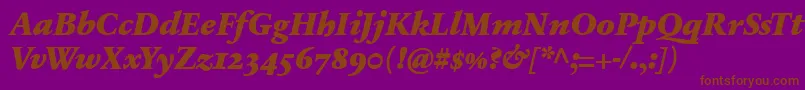 SabonnextLtBlackItalicOldStyleFigures Font – Brown Fonts on Purple Background