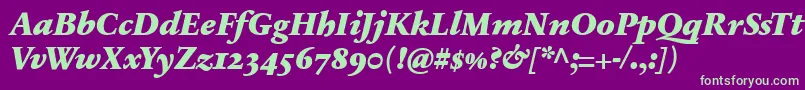 SabonnextLtBlackItalicOldStyleFigures Font – Green Fonts on Purple Background