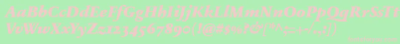 SabonnextLtBlackItalicOldStyleFigures Font – Pink Fonts on Green Background