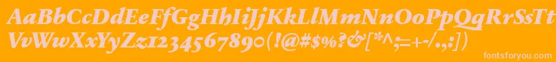 SabonnextLtBlackItalicOldStyleFigures Font – Pink Fonts on Orange Background