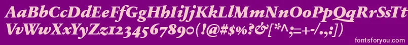 SabonnextLtBlackItalicOldStyleFigures-fontti – vaaleanpunaiset fontit violetilla taustalla