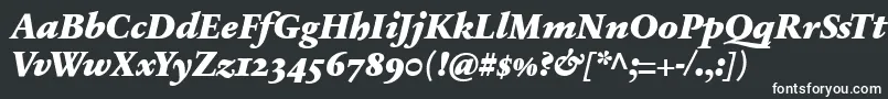 フォントSabonnextLtBlackItalicOldStyleFigures – 黒い背景に白い文字