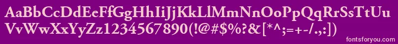 フォントAdobeGaramondLtBold – 紫の背景にピンクのフォント
