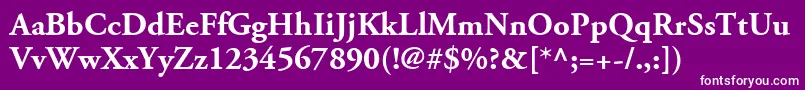 フォントAdobeGaramondLtBold – 紫の背景に白い文字