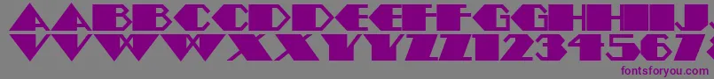 フォントAmstelheavynf – 紫色のフォント、灰色の背景