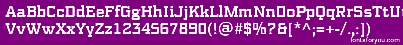 フォントPfsynchproMedium – 紫の背景に白い文字