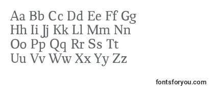ChucaraRegular Font