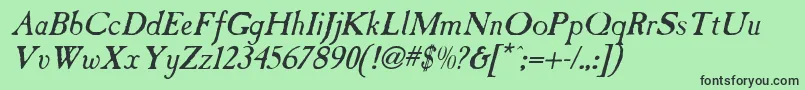 CaslonAntiqueItalic Font – Black Fonts on Green Background