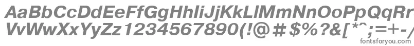 PragmaticaBoldItalic Font – Gray Fonts on White Background