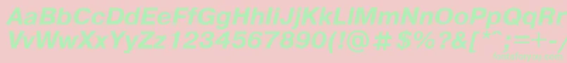 PragmaticaBoldItalic Font – Green Fonts on Pink Background