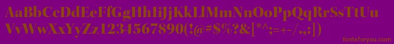 KeplerstdBlackdisp Font – Brown Fonts on Purple Background