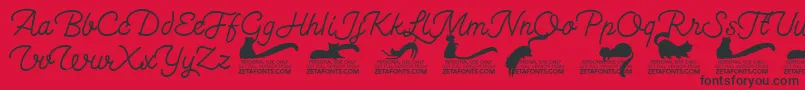 Kittenswashmonolinetrial Font – Black Fonts on Red Background