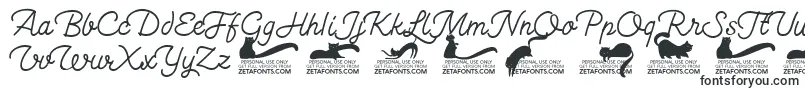 Kittenswashmonolinetrial Font – TTF Fonts