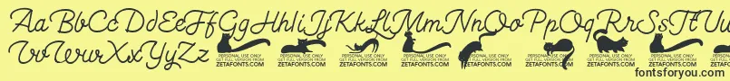 Kittenswashmonolinetrial Font – Black Fonts on Yellow Background