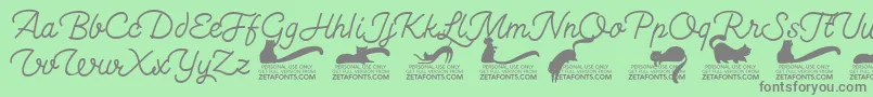 Kittenswashmonolinetrial Font – Gray Fonts on Green Background